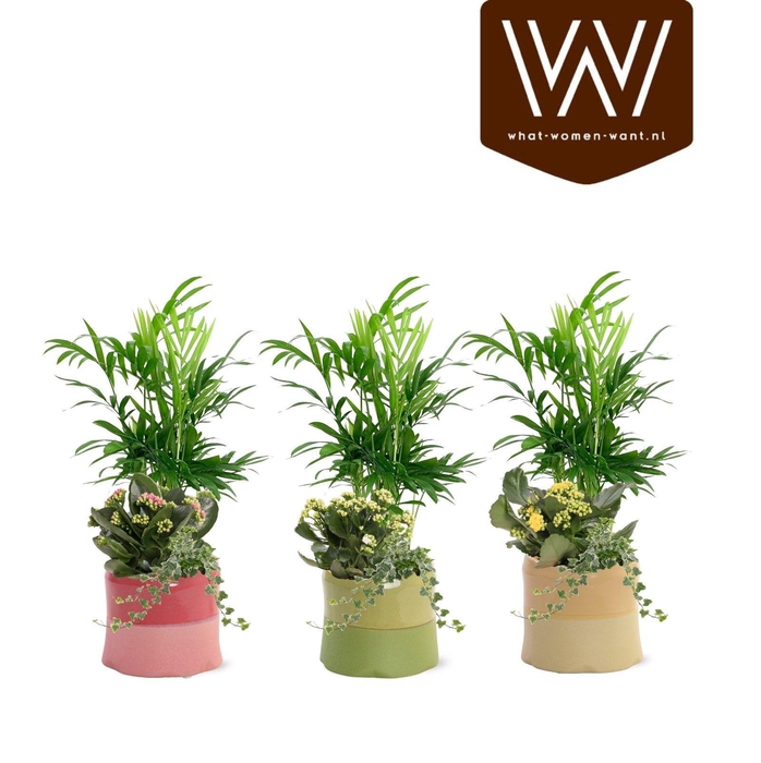 <h4>Collectie "Fruity Blend" Arrangement Keramiek Evita</h4>