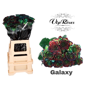 R GR GALAXY