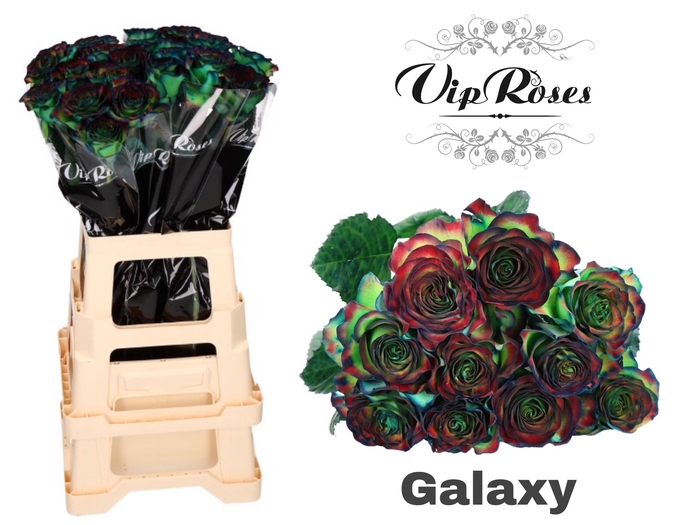 R GR GALAXY