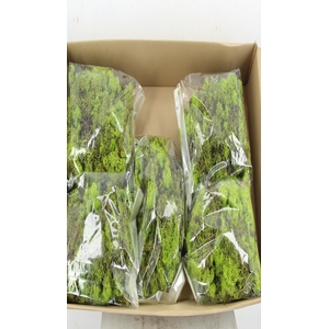 Moss Icelandic 500gr L.Green