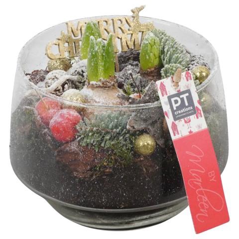 <h4>PTHCH6766 Arrangementen Hyacinthus</h4>