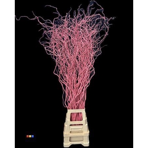 Salix 130cm Pink