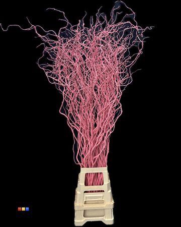 <h4>Salix 130cm Pink</h4>