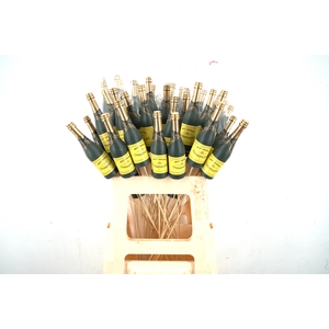 Pick champagne bottle h13,5x4cm+50cm stick green