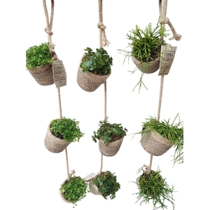 GL40GEM Jute Garland. 3xmini jute mand hangend mixtray