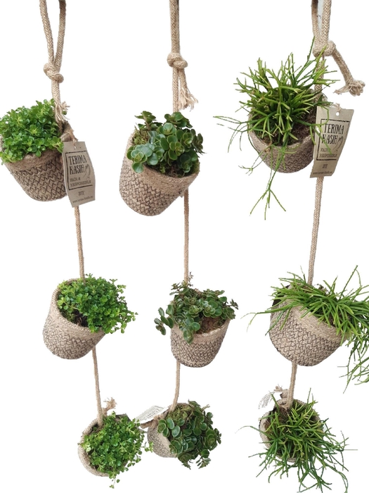 <h4>GL40GEM Jute Garland. 3xmini jute mand hangend mixtray</h4>