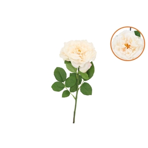 Silk Wild Rose Cream Single 65cm Nm