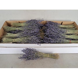 Df Lavendel Bs 80g