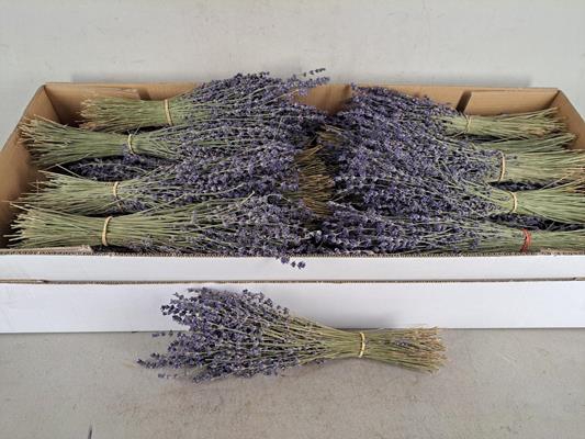 Df Lavendel Bs 80g