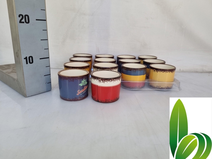 <h4>HUIS EN TUINDECO H%</h4>