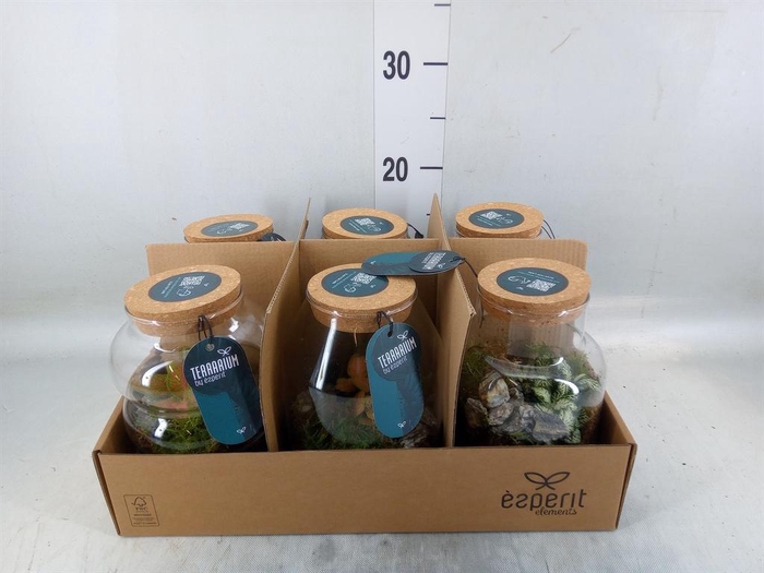 <h4>Arr.    Planten  L%</h4>