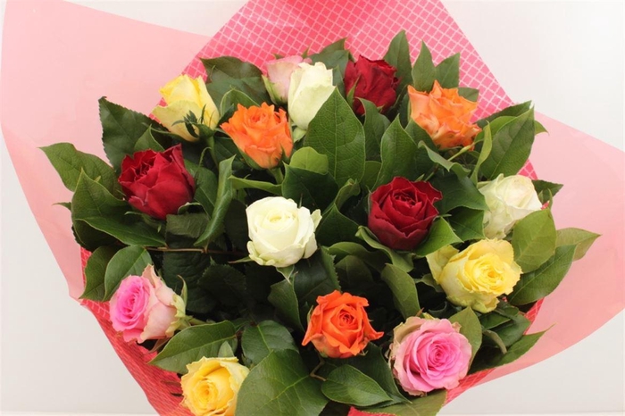 <h4>Boeket Roos Rainbow</h4>