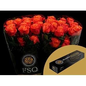 R GR Orange Crush Box