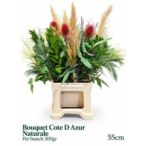 DECOGROEN OV