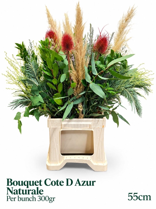 <h4>DECOGROEN OV</h4>