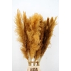 DF Pampas 130cm Ocher Yellow