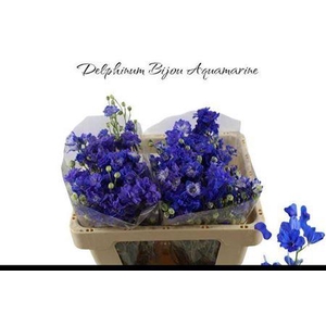 Delph D Bijou Aquamarine