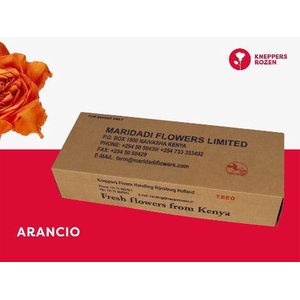 R GR ARANCIO@ 50