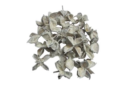 Cotton Pods 150g
