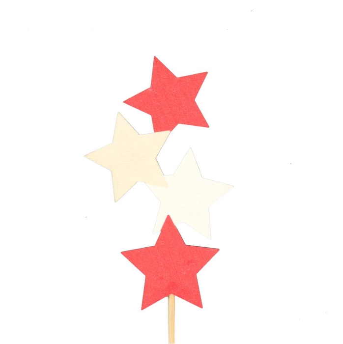 <h4>Christmas sticks 10cm Star x4 6*10cm</h4>