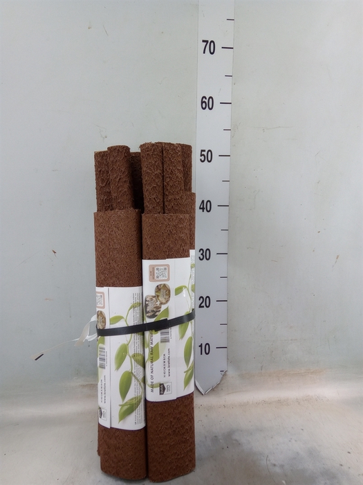<h4>Decoratie  ..Klimstok composteer H%</h4>