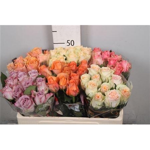 R Gr Gemengd In Fust