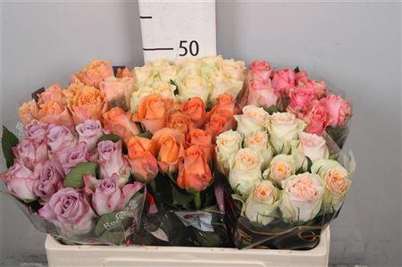 <h4>R Gr Gemengd In Fust</h4>