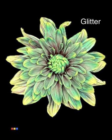 Chr T 2 Kl Baltica Hawai + Glit Bio