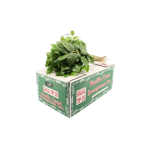 Salal Tips