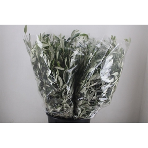 Olijf 200gr P Bunch