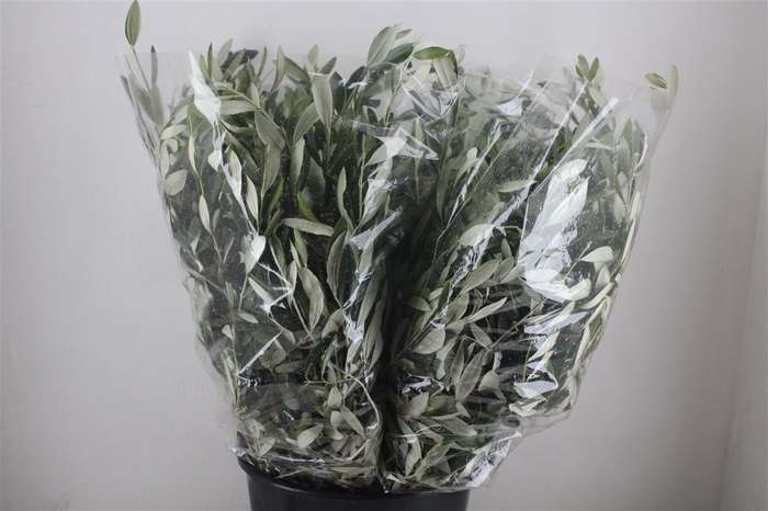 <h4>Olijf 200gr P Bunch</h4>
