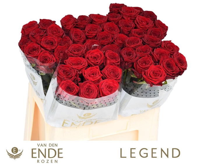 <h4>R GR RED NAOMI!</h4>