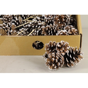 Stick Pine Cone White Tipped