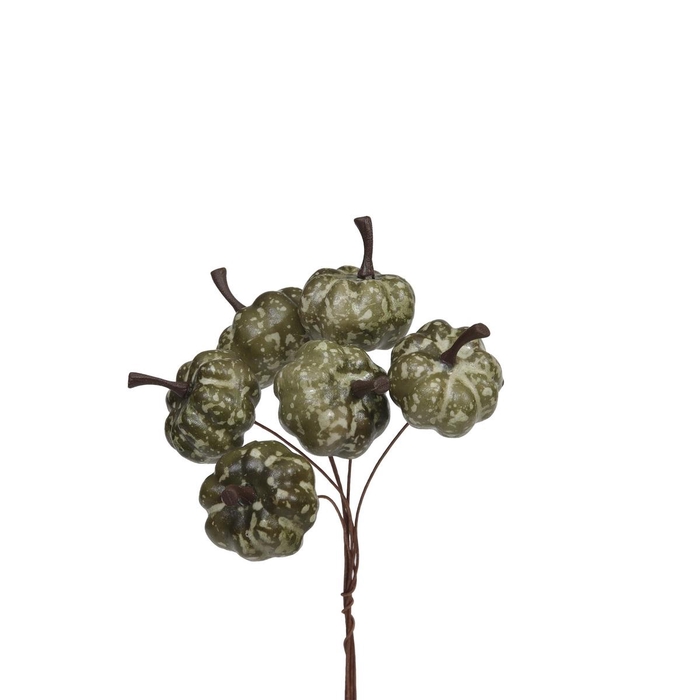 <h4>Autumn Deco pumpkin/wire 20mm x36</h4>