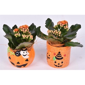 Keramiek Halloween mix 10cm