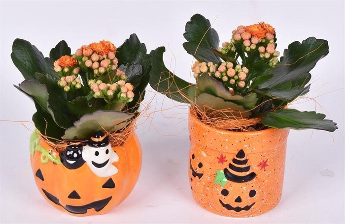 <h4>Keramiek Halloween mix 10cm</h4>