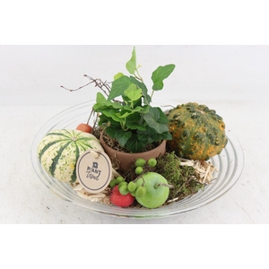 arr2 PL - Glas schaal sierfruit 27cm