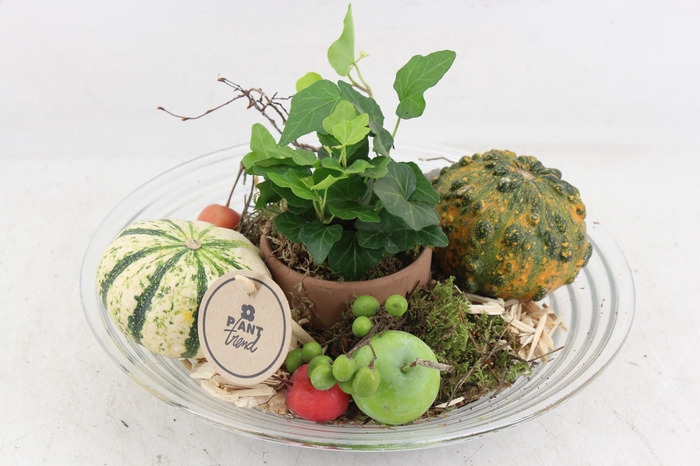 <h4>arr2 PL - Glas schaal sierfruit 27cm</h4>