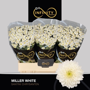 Chr S Miller White 900gr