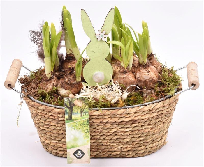 <h4>Touw met zink schaal ovaal 21x14cm</h4>