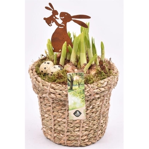 Touwmand met rand 17cm