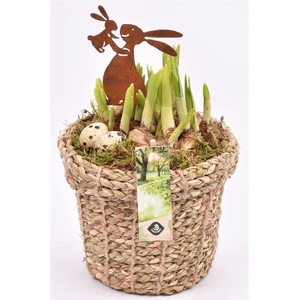 Touwmand met rand 17cm