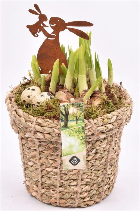 <h4>Touwmand met rand 17cm</h4>