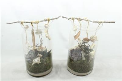 <h4>2711 BLOOMON SUCC SCHELP</h4>