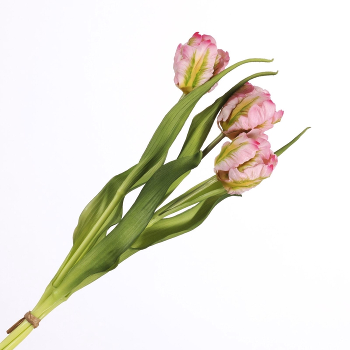 <h4>Tulip Bundle Pink BK770017PNK</h4>