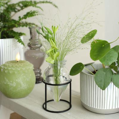 Glass vase Breeze+frame d06*11cm