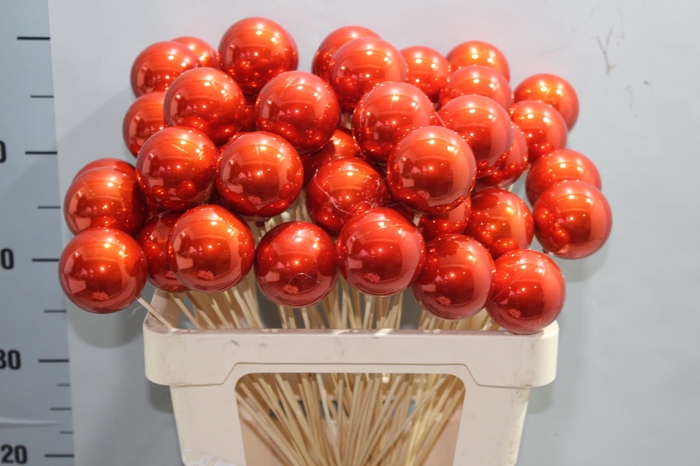 <h4>KERSTBAL OP STOK H%</h4>