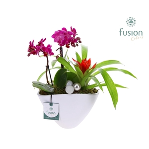 Pot keramiek Ovaal Kerst met Arrangement