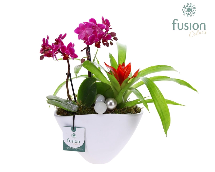 <h4>Pot keramiek Ovaal Kerst met Arrangement</h4>