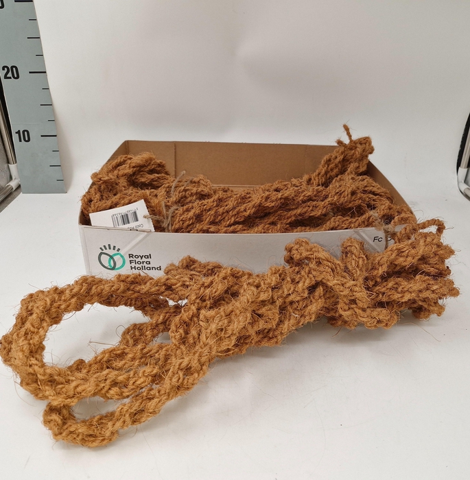 <h4>SISAL TOUW H%</h4>